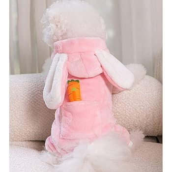 Amazon | 犬服 ペット服 秋冬 ジャケット 可愛い 着ぐるみ